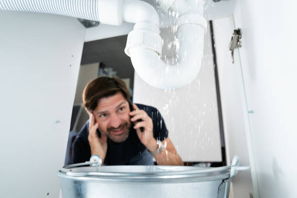 Best Plumbing Inspection Services  in Dover, FL