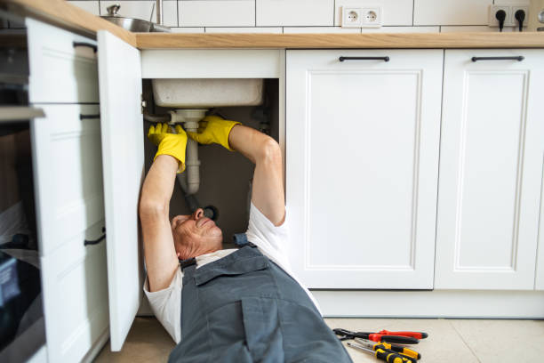  Dover, FL Plumbing Pros