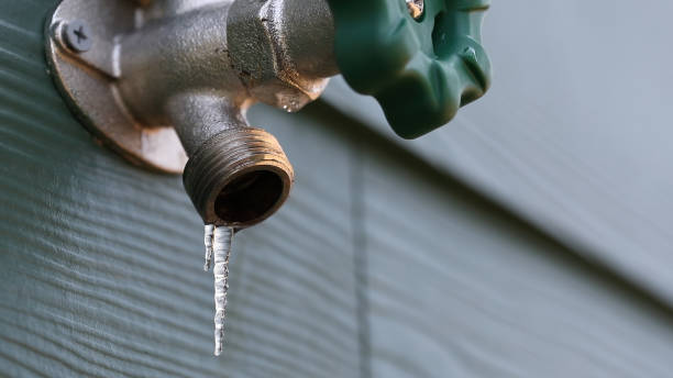 Best Boilers & Radiators  in Dover, FL