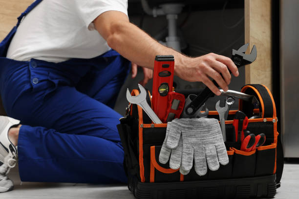 Best Commercial Plumbing Services  in Dover, FL
