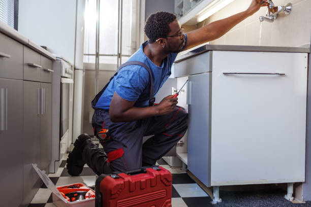 Best Best Plumbers Near Me  in Dover, FL